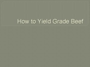 How to Yield Grade Beef Yield Grading While