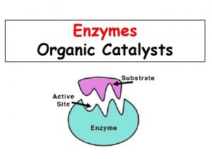 Enzymes Organic Catalysts Enzymes are Proteins Proteins contain