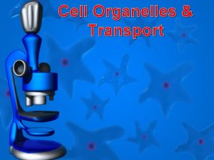 Cell Organelles Transport Cell Discovery Microscopes CELL THEORY