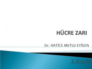 HCRE ZARI Dr HATCE MUTLU EYSON 3 Ksm