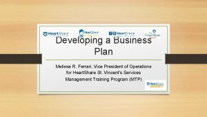 Developing a Business Plan Melissa R Ferrari Vice