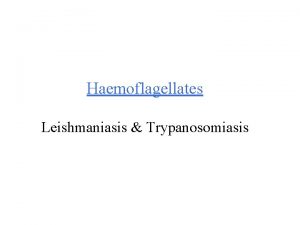 Haemoflagellates Leishmaniasis Trypanosomiasis Different stages of Haemoflagellates Promastigotes