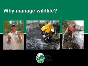 Why manage wildlife Human interaction with wildlife Humans