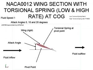 NACA 0012 WING SECTION WITH TORSIONAL SPRING LOW