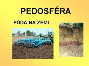 PEDOSFRA PDA NA ZEMI NEZPEVNN SMS MINERL HORNIN