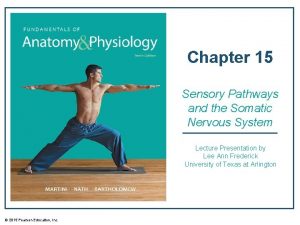 Chapter 15 Sensory Pathways and the Somatic Nervous