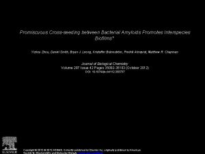 Promiscuous Crossseeding between Bacterial Amyloids Promotes Interspecies Biofilms