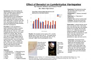 Effect of Benadryl on Lumbriculus Variegates By Yasmeen