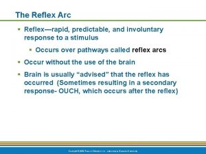 The Reflex Arc Reflexrapid predictable and involuntary response