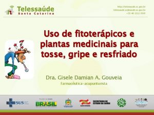Uso de fitoterpicos e plantas medicinais para tosse