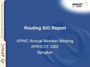 Routing SIG Report APNIC Annual Member Meeting APRICOT