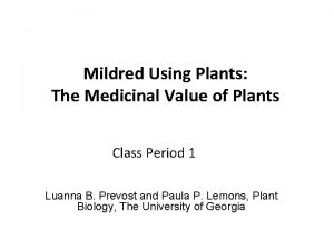 Mildred Using Plants The Medicinal Value of Plants