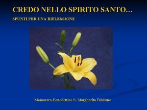 CREDO NELLO SPIRITO SANTO SPUNTI PER UNA RIFLESSIONE