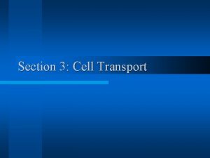 Section 3 Cell Transport I Cell Membrane Cell