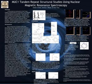 MUC 1 Tandem Repeat Structural Studies Using Nuclear