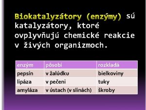 s katalyztory ktor ovplyvuj chemick reakcie v ivch