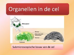 Organellen in de cel Submicroscopische bouw van de