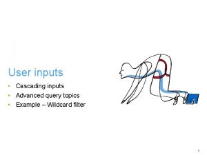 User inputs Cascading inputs Advanced query topics Example
