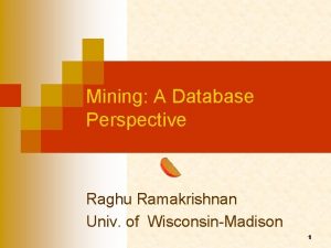Mining A Database Perspective Raghu Ramakrishnan Univ of