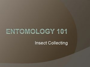 ENTOMOLOGY 101 Insect Collecting Insect Collecting Topics Collection