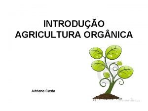 INTRODUO AGRICULTURA ORG NICA Adriana Costa Agricultura Orgnica