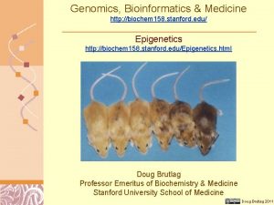 Genomics Bioinformatics Medicine http biochem 158 stanford edu