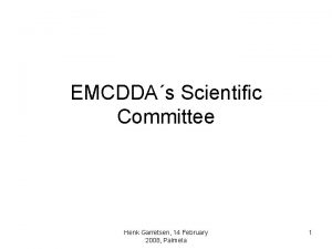 EMCDDAs Scientific Committee Henk Garretsen 14 February 2008