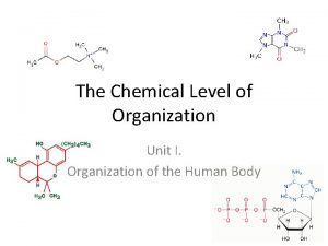 The Chemical Level of Organization Unit I Organization