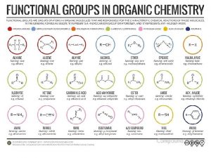 2 1 Classes of Hydrocarbons Hydrocarbons Aliphatic Aromatic