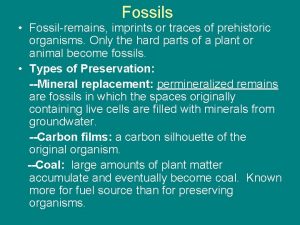 Fossils Fossilremains imprints or traces of prehistoric organisms