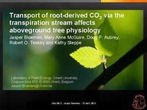 Transport of rootderived CO 2 via the transpiration