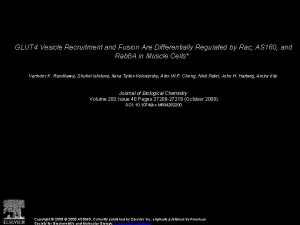 GLUT 4 Vesicle Recruitment and Fusion Are Differentially