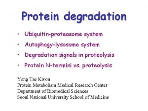 Protein degradation Ubiquitinproteasome system Autophagylysosome system Degradation signals