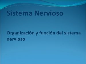 Sistema Nervioso Organizacin y funcin del sistema nervioso