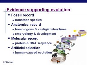 Evidence supporting evolution Fossil record u transition species