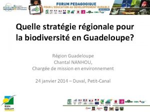 Quelle stratgie rgionale pour la biodiversit en Guadeloupe