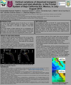 Vertical variations of dissolved inorganic carbon and total