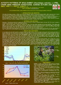 ACTIVITY PATTERNS OF WILD RABBIT Oryctolagus cuniculus L