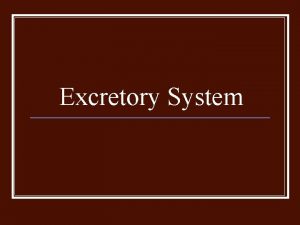 Excretory System Functions The job of the excretory