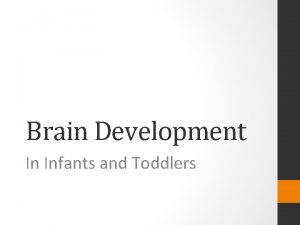 Brain Development In Infants and Toddlers Human Nervous