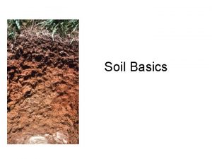 Soil Basics What is Soil Soil is the