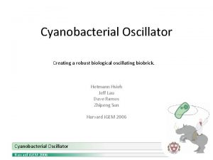 Cyanobacterial Oscillator Creating a robust biological oscillating biobrick