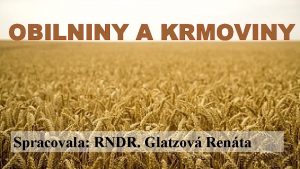 OBILNINY A KRMOVINY Spracovala RNDR Glatzov Renta OBILNINY