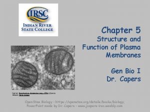Chapter 5 Structure and Function of Plasma Membranes
