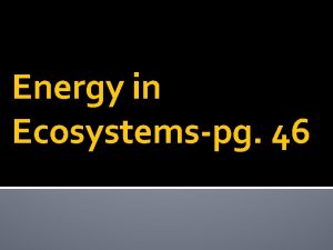 Energy in Ecosystemspg 46 Producers vs Consumers PRODUCERS