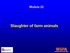 Module 22 Slaughter of farm animals Summary of