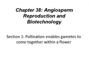 Chapter 38 Angiosperm Reproduction and Biotechnology Section 1