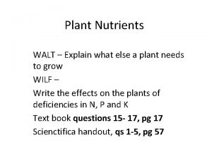 Plant Nutrients WALT Explain what else a plant