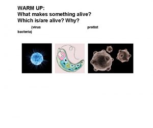 WARM UP What makes something alive Which isare