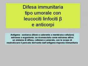 Difesa immunitaria tipo umorale con leucociti linfociti e